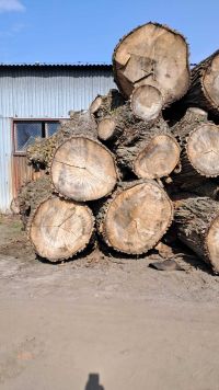 IMG-20260330-WA0005